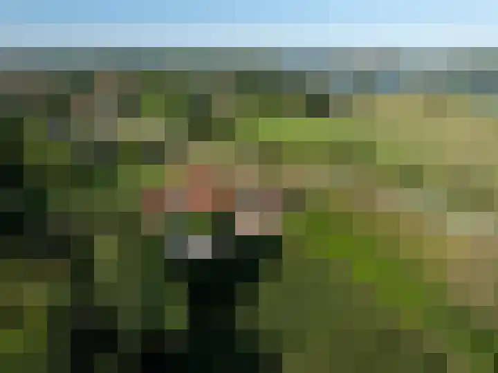 Beusichemsedijk 6 Culemborg thumbnail 57