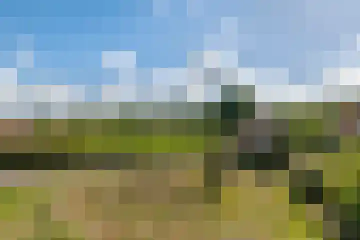 Beusichemsedijk 6 Culemborg thumbnail 58