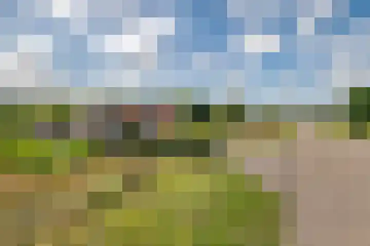 Beusichemsedijk 6 Culemborg thumbnail 60