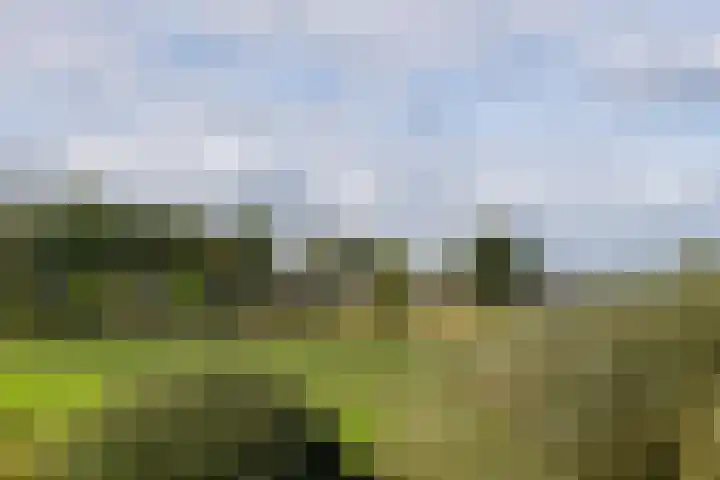 Beusichemsedijk 6 Culemborg thumbnail 61