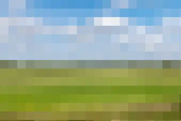 Beusichemsedijk 6 Culemborg thumbnail 62