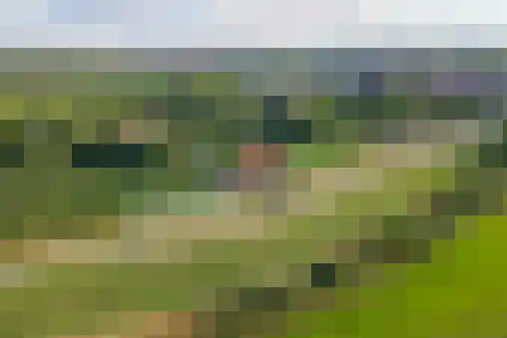 Beusichemsedijk 6 Culemborg thumbnail 63