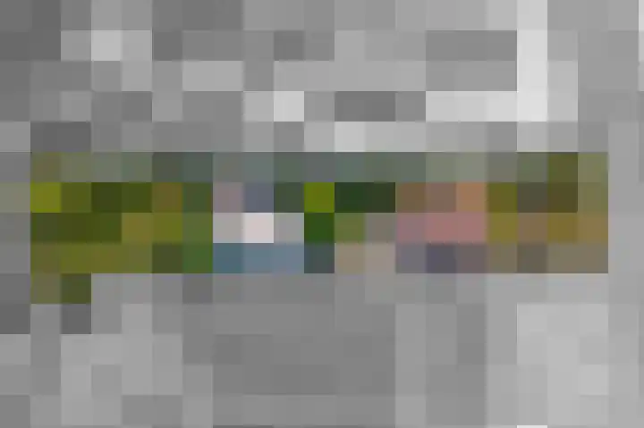 Beusichemsedijk 6 Culemborg thumbnail 64