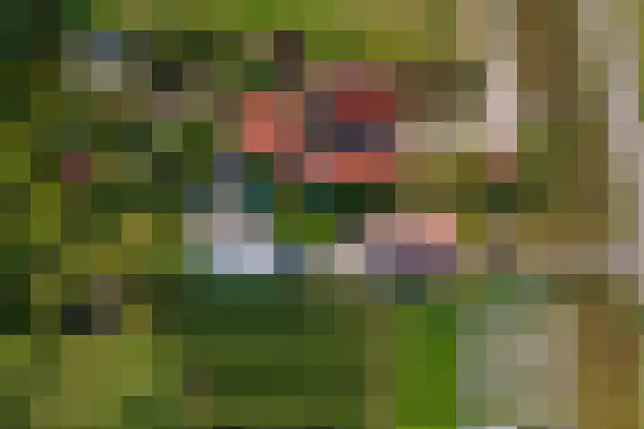Beusichemsedijk 6 Culemborg thumbnail 65