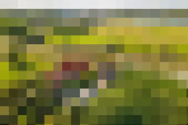 Beusichemsedijk 6 Culemborg thumbnail 69