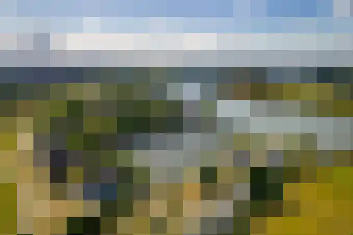 Beusichemsedijk 6 Culemborg thumbnail 70