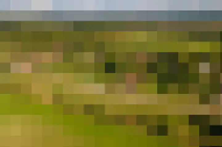 Beusichemsedijk 6 Culemborg thumbnail 71