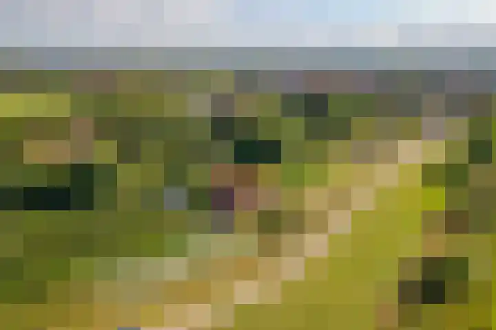 Beusichemsedijk 6 Culemborg thumbnail 73
