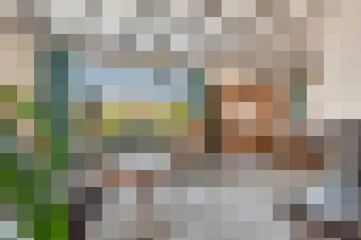 Beusichemsedijk 6 Culemborg thumbnail 8