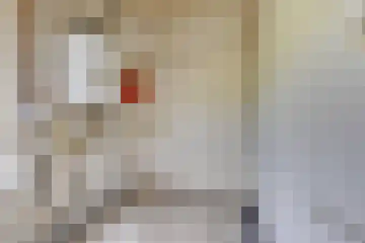 Beusichemseweg 65 't Goy thumbnail 20