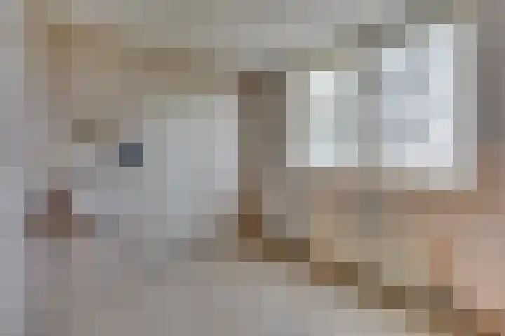 Beusichemseweg 65 't Goy thumbnail 28