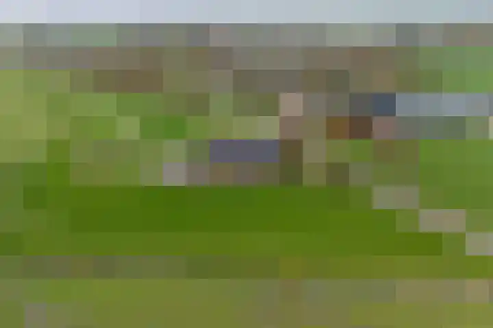 Beusichemseweg 65 't Goy foto 3