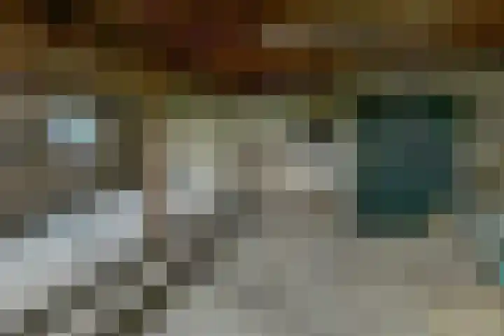 Beusichemseweg 65 't Goy thumbnail 39