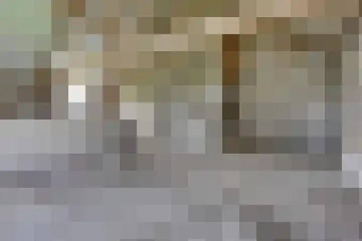 Beusichemseweg 65 't Goy thumbnail 41