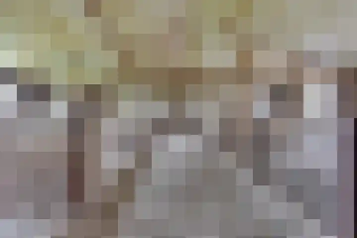 Beusichemseweg 65 't Goy thumbnail 42