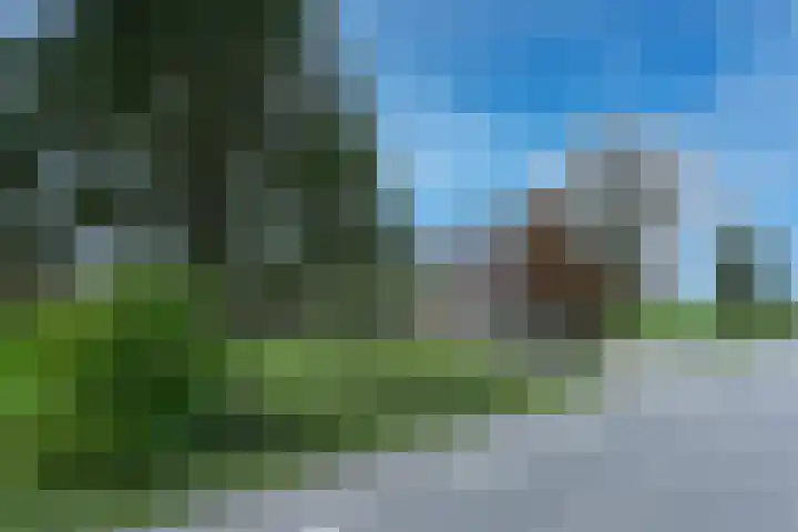 Beusichemseweg 65 't Goy thumbnail 44