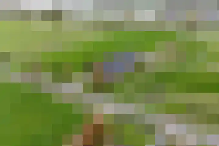 Beusichemseweg 65 't Goy thumbnail 45
