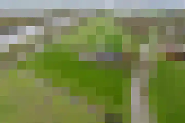 Beusichemseweg 65 't Goy thumbnail 46
