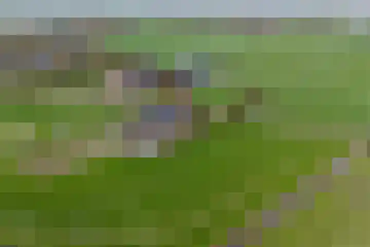 Beusichemseweg 65 't Goy thumbnail 47