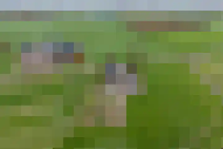 Beusichemseweg 65 't Goy thumbnail 48