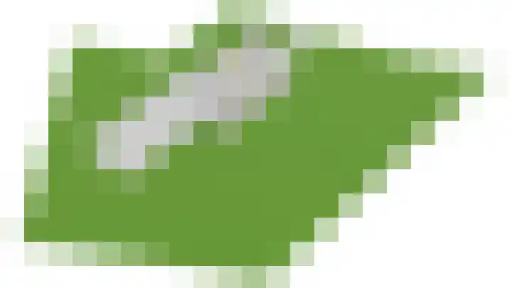 Beusichemseweg 65 't Goy thumbnail 63