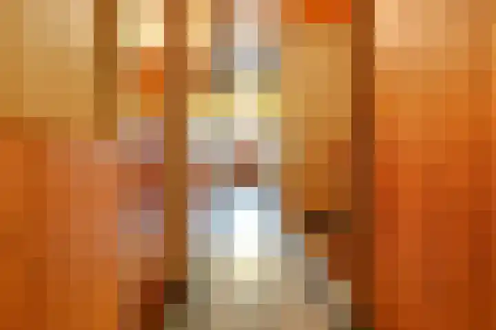 Beusichemseweg 65 't Goy thumbnail 9