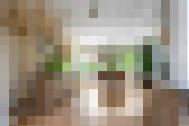Beusichemseweg 92 't Goy thumbnail 10