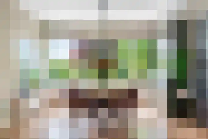 Beusichemseweg 92 't Goy thumbnail 12