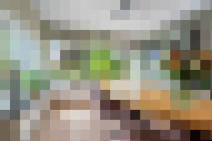 Beusichemseweg 92 't Goy thumbnail 14