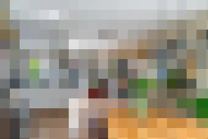 Beusichemseweg 92 't Goy thumbnail 17
