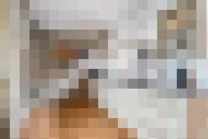 Beusichemseweg 92 't Goy thumbnail 19