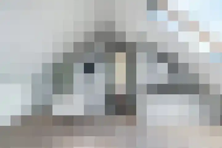 Beusichemseweg 92 't Goy thumbnail 49