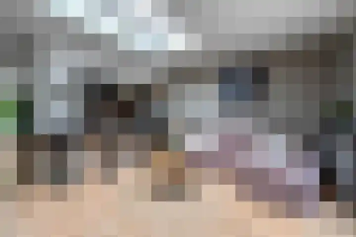 Beusichemseweg 92 't Goy thumbnail 7