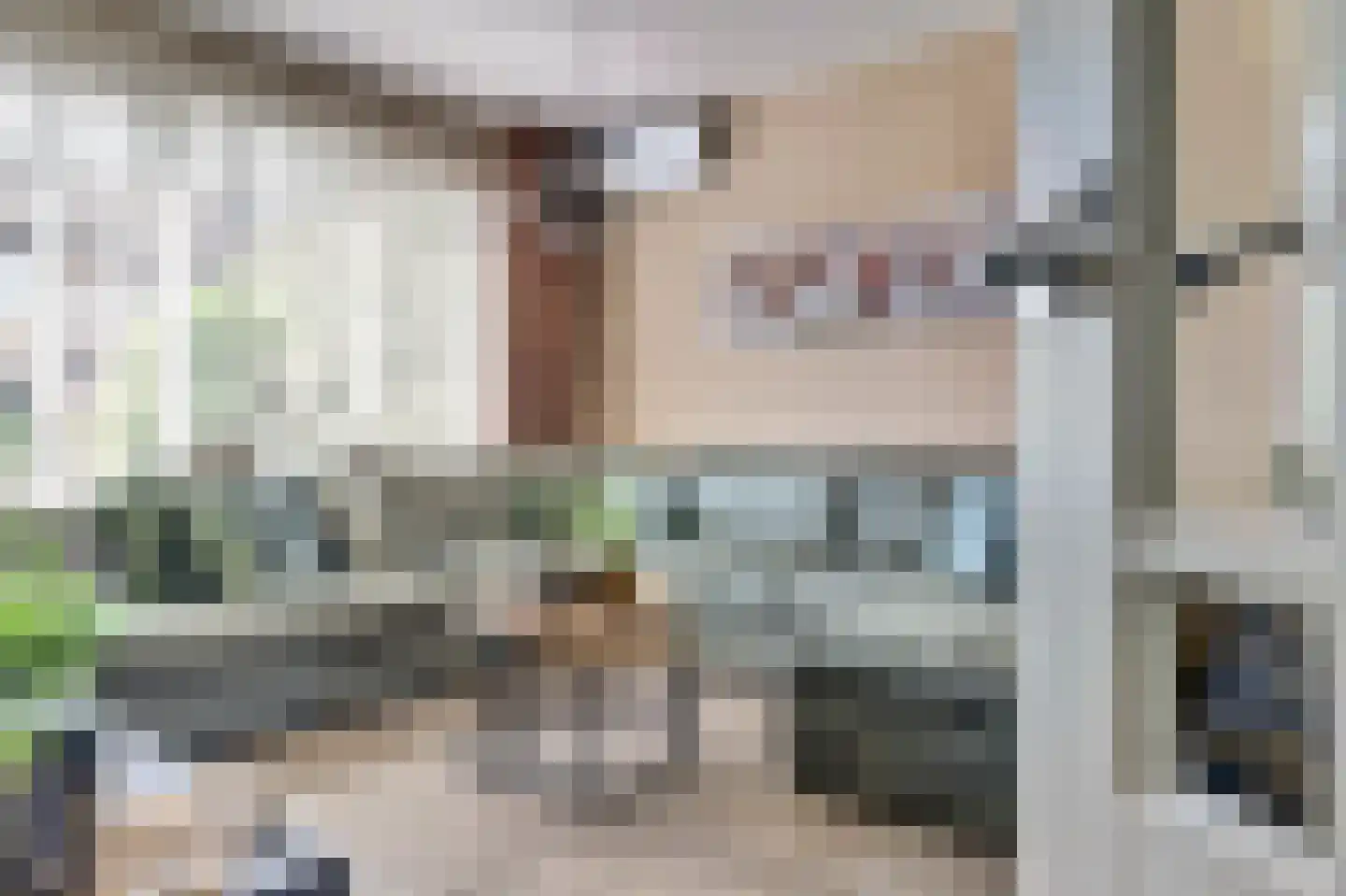 Beusichemstraat 28 Tiel thumbnail 4