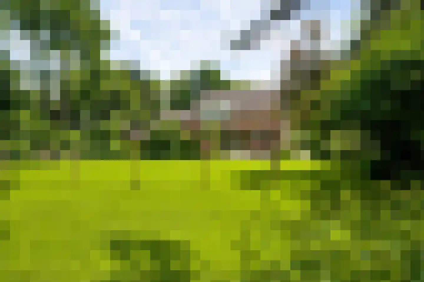 Beutenaken 7 Beutenaken foto 2