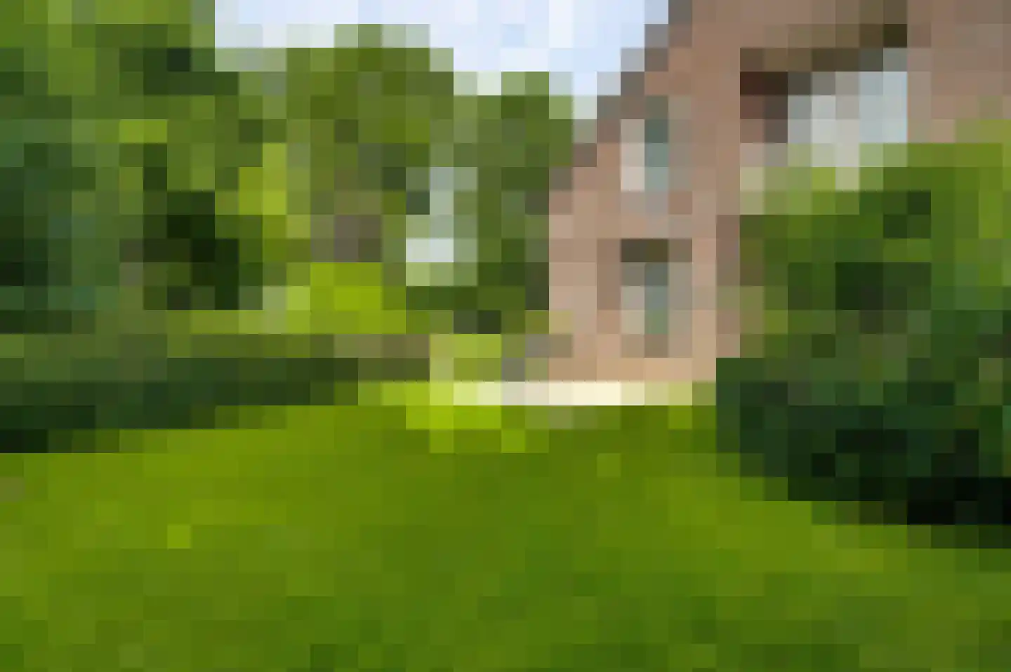 Beutenaken 7 Beutenaken thumbnail 30