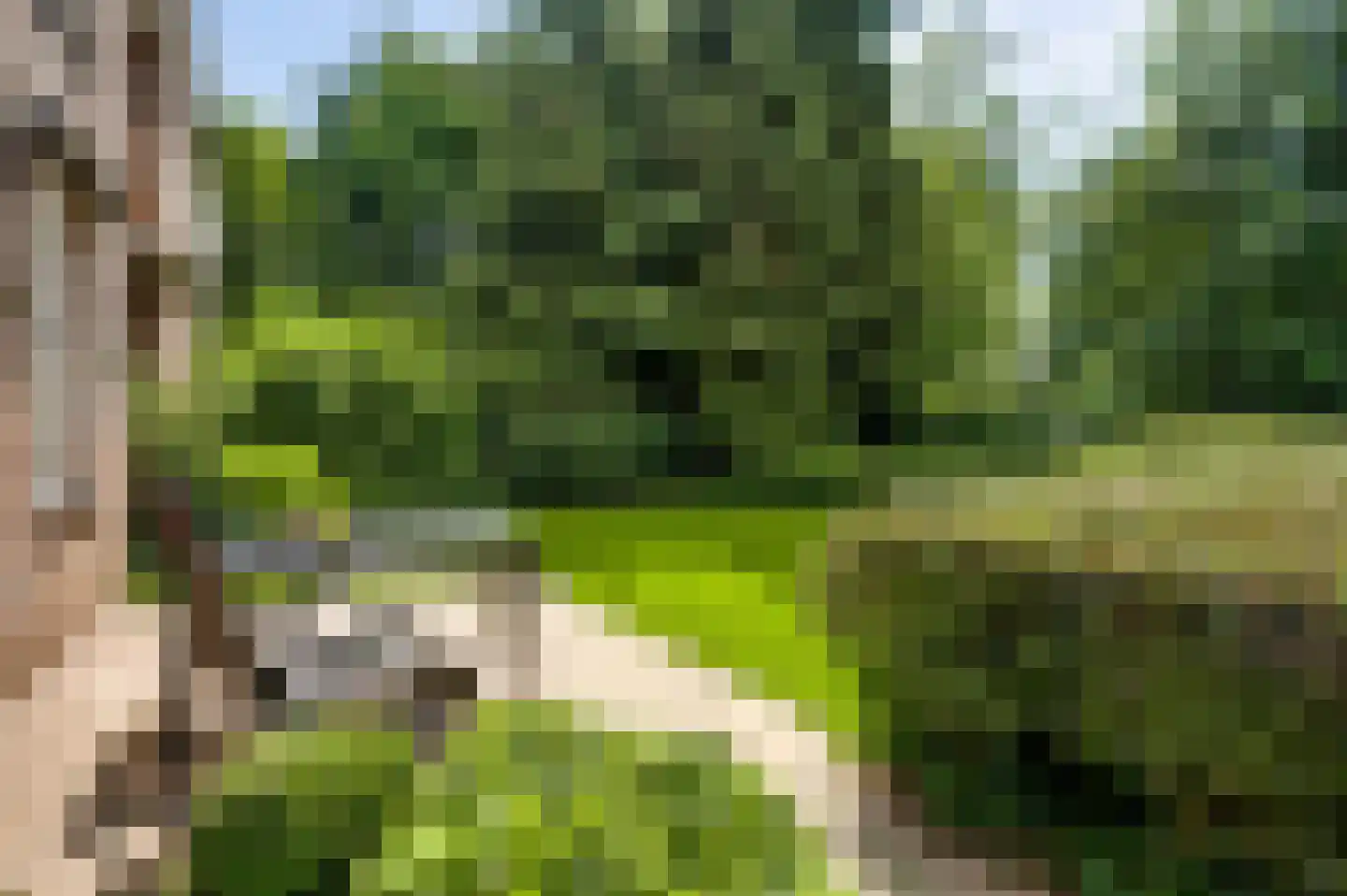 Beutenaken 7 Beutenaken thumbnail 31