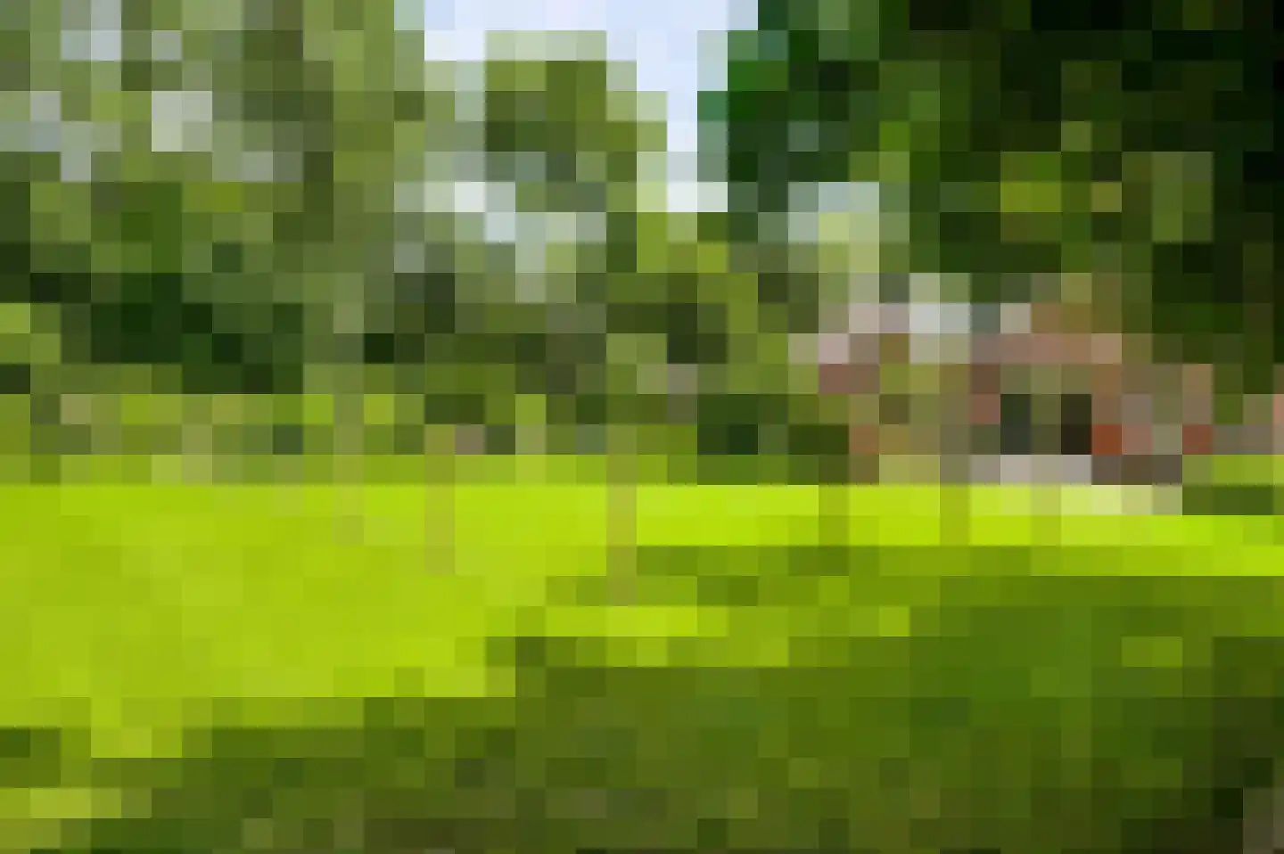 Beutenaken 7 Beutenaken thumbnail 36