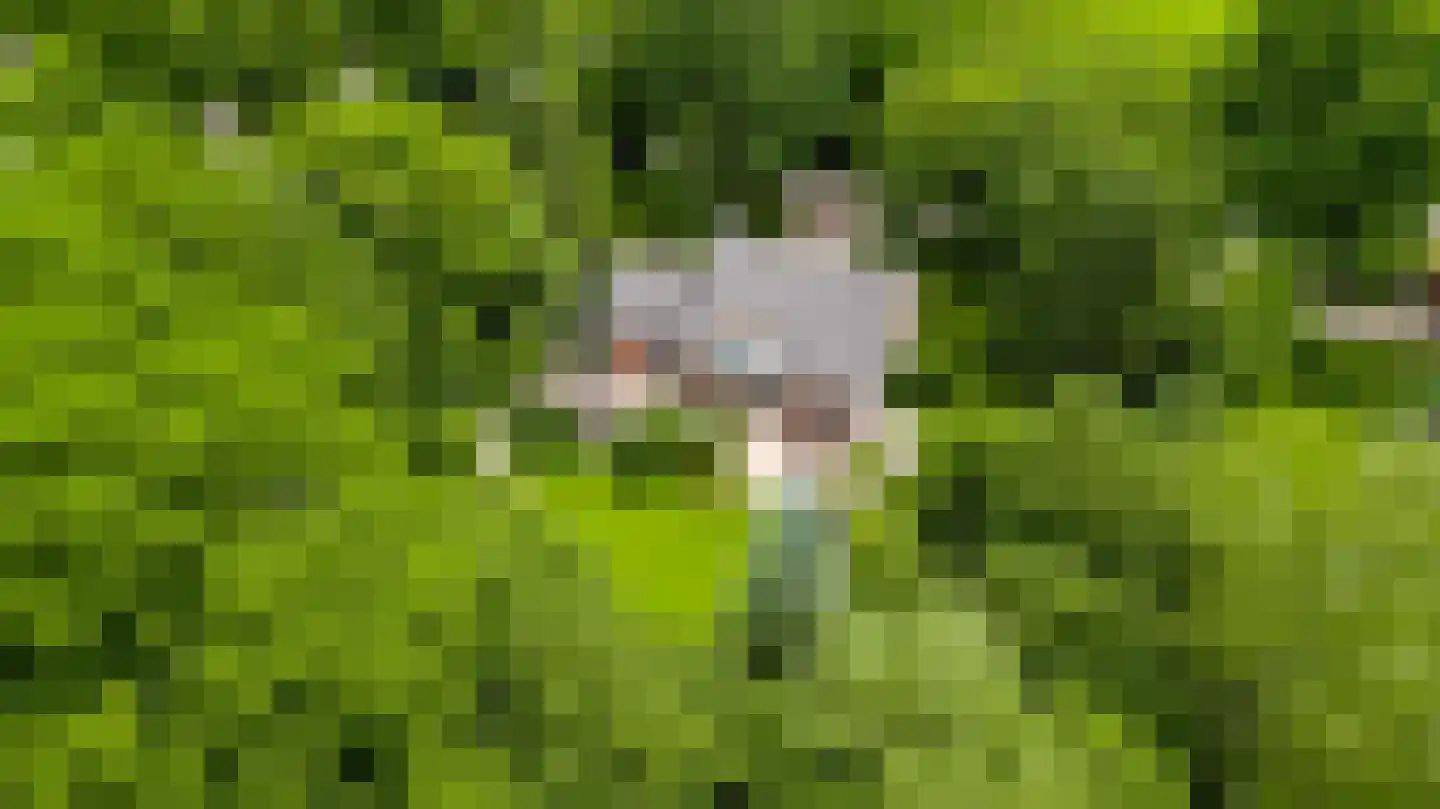 Beutenaken 7 Beutenaken thumbnail 37