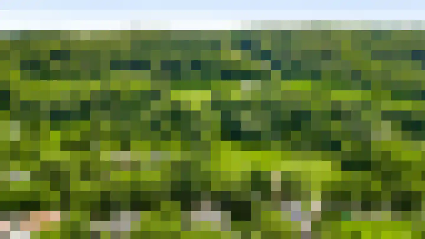Beutenaken 7 Beutenaken thumbnail 41