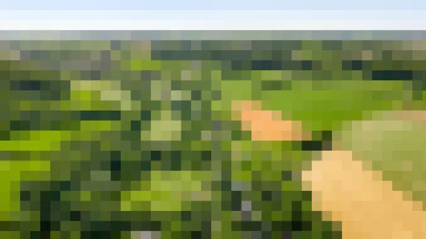 Beutenaken 7 Beutenaken thumbnail 42