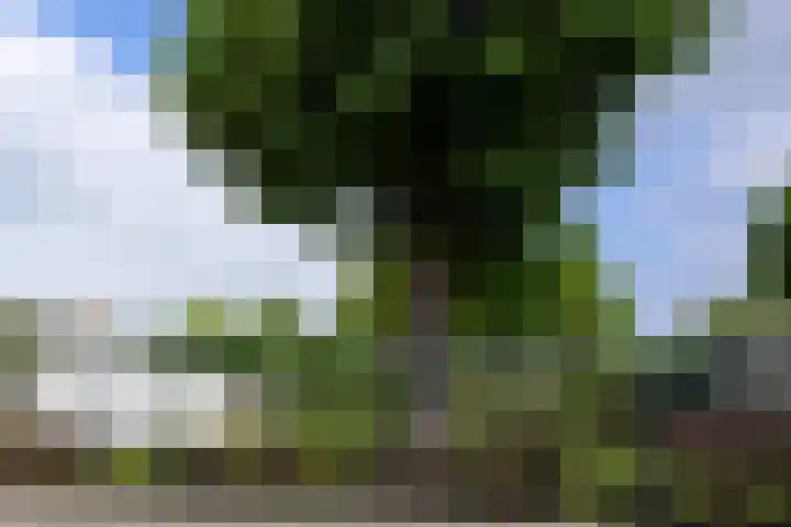 Beuteweg 27 Landgraaf thumbnail 17