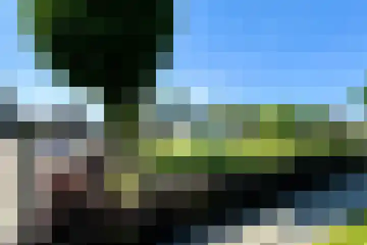 Beuteweg 27 Landgraaf thumbnail 19