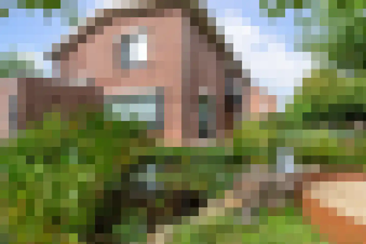 Beuteweg 44 Landgraaf thumbnail 31