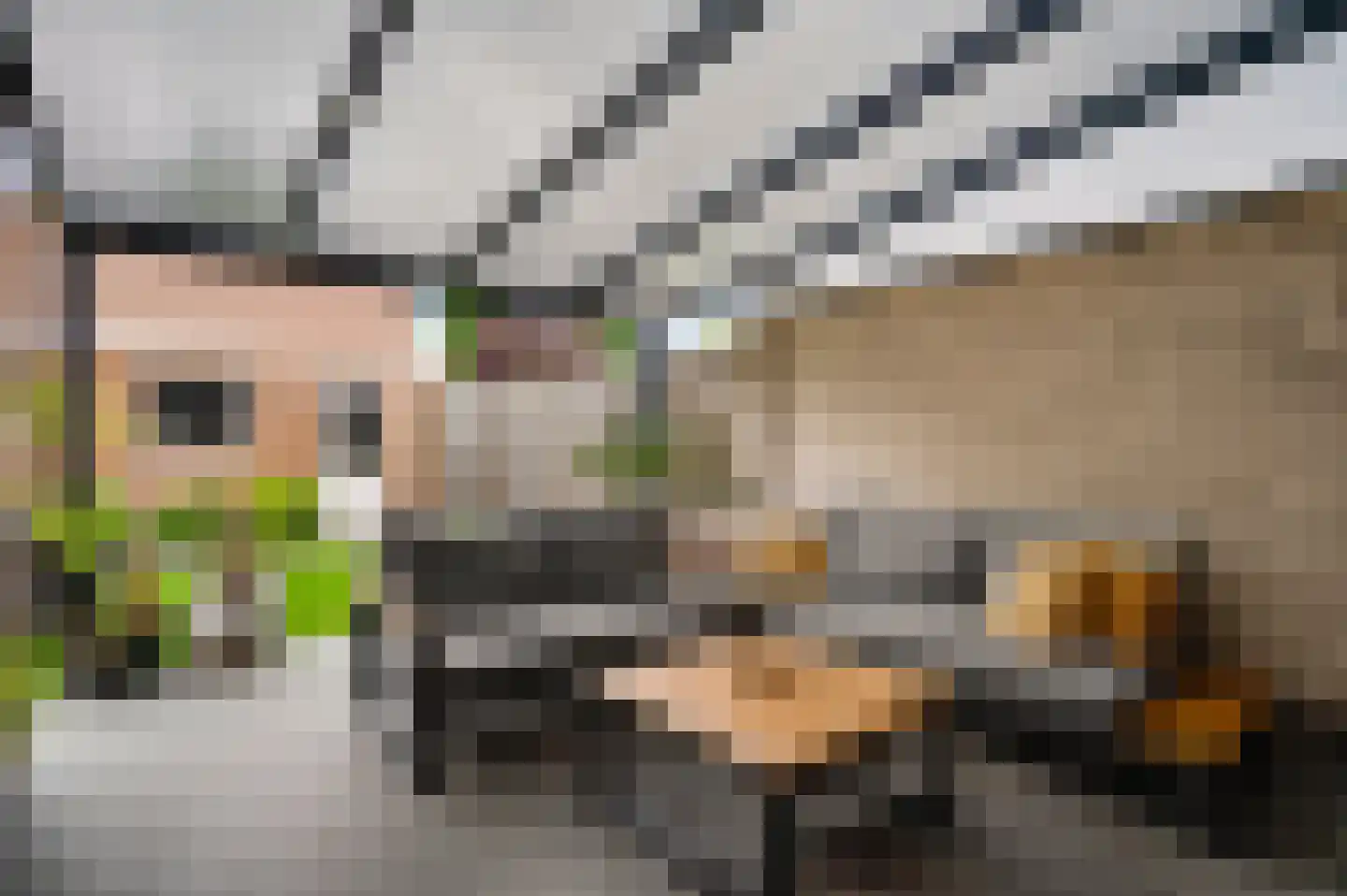 Beutsevenstraat 1 Weert thumbnail 30