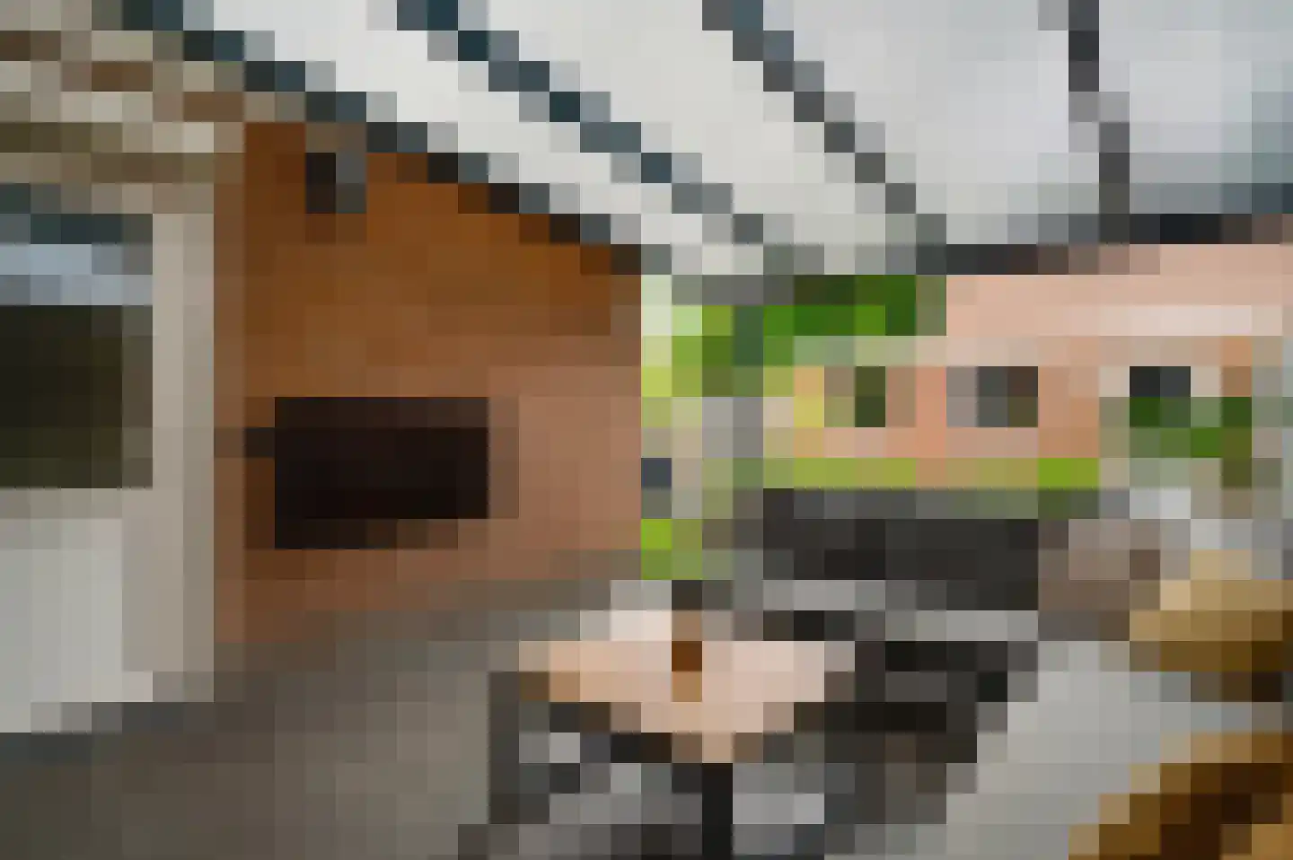 Beutsevenstraat 1 Weert thumbnail 31