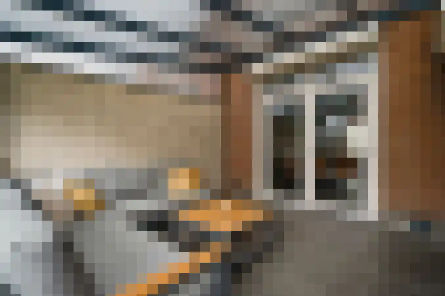 Beutsevenstraat 1 Weert thumbnail 32