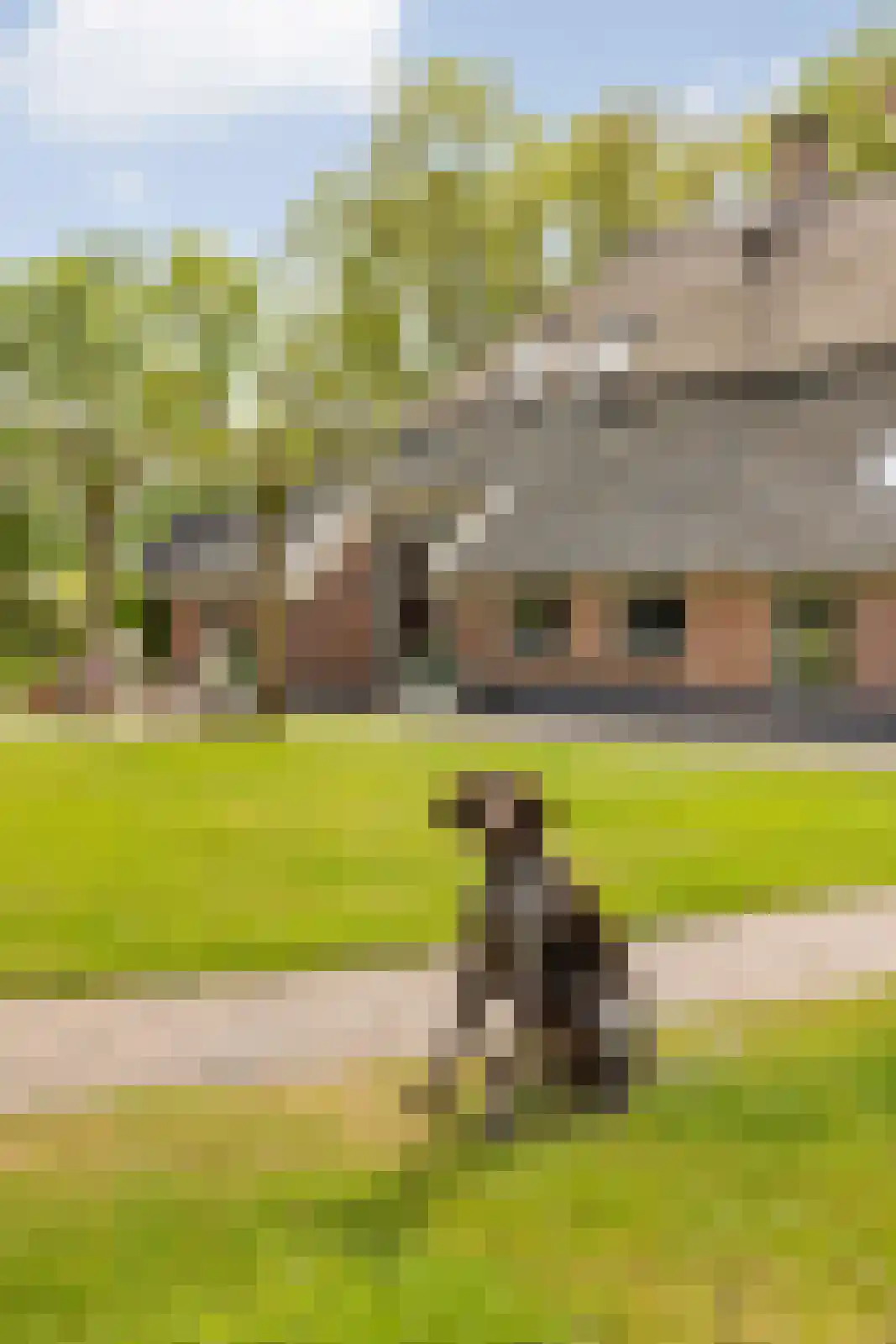 Beuzelshoek 8 Laren thumbnail 100