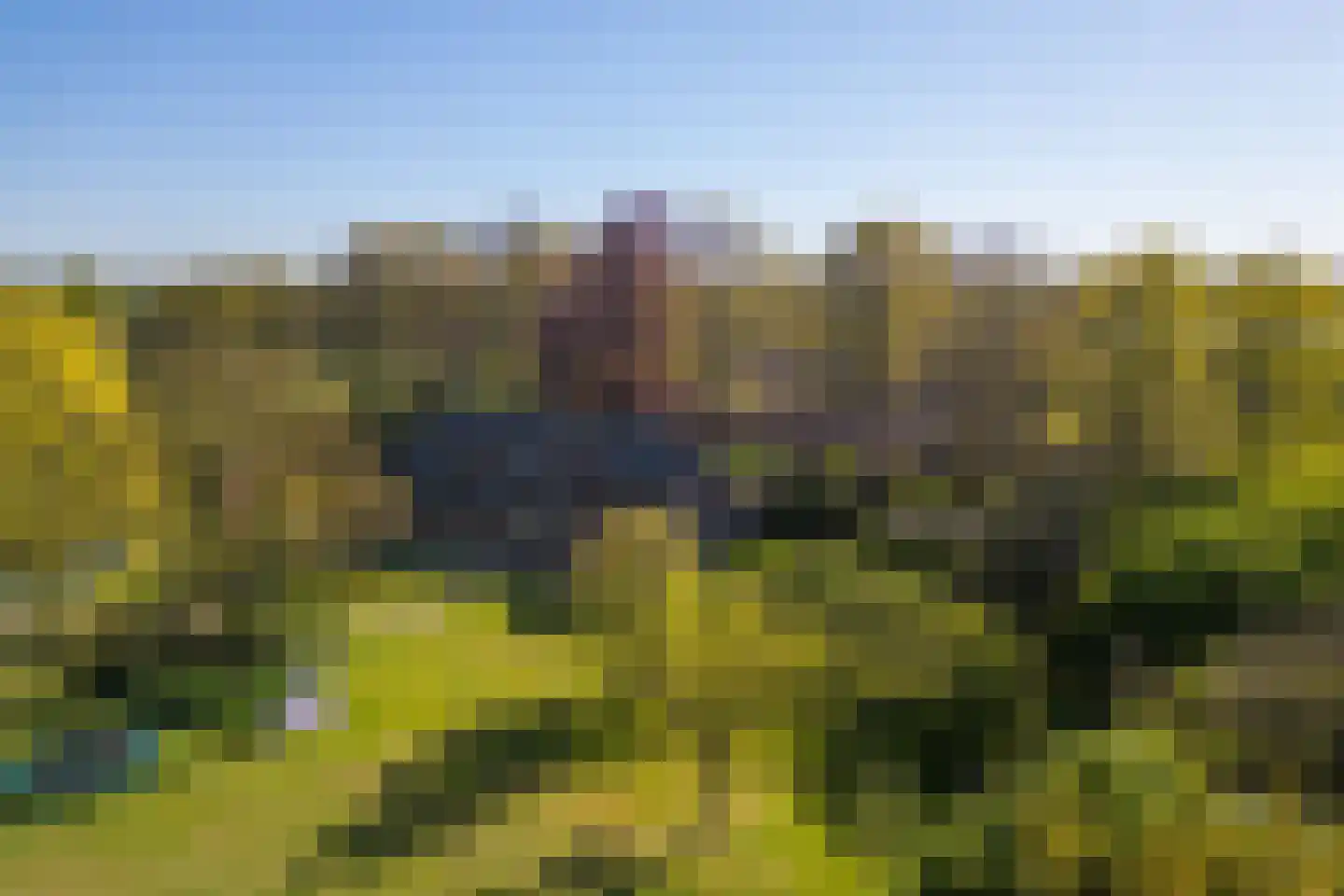Beuzelshoek 8 Laren thumbnail 101