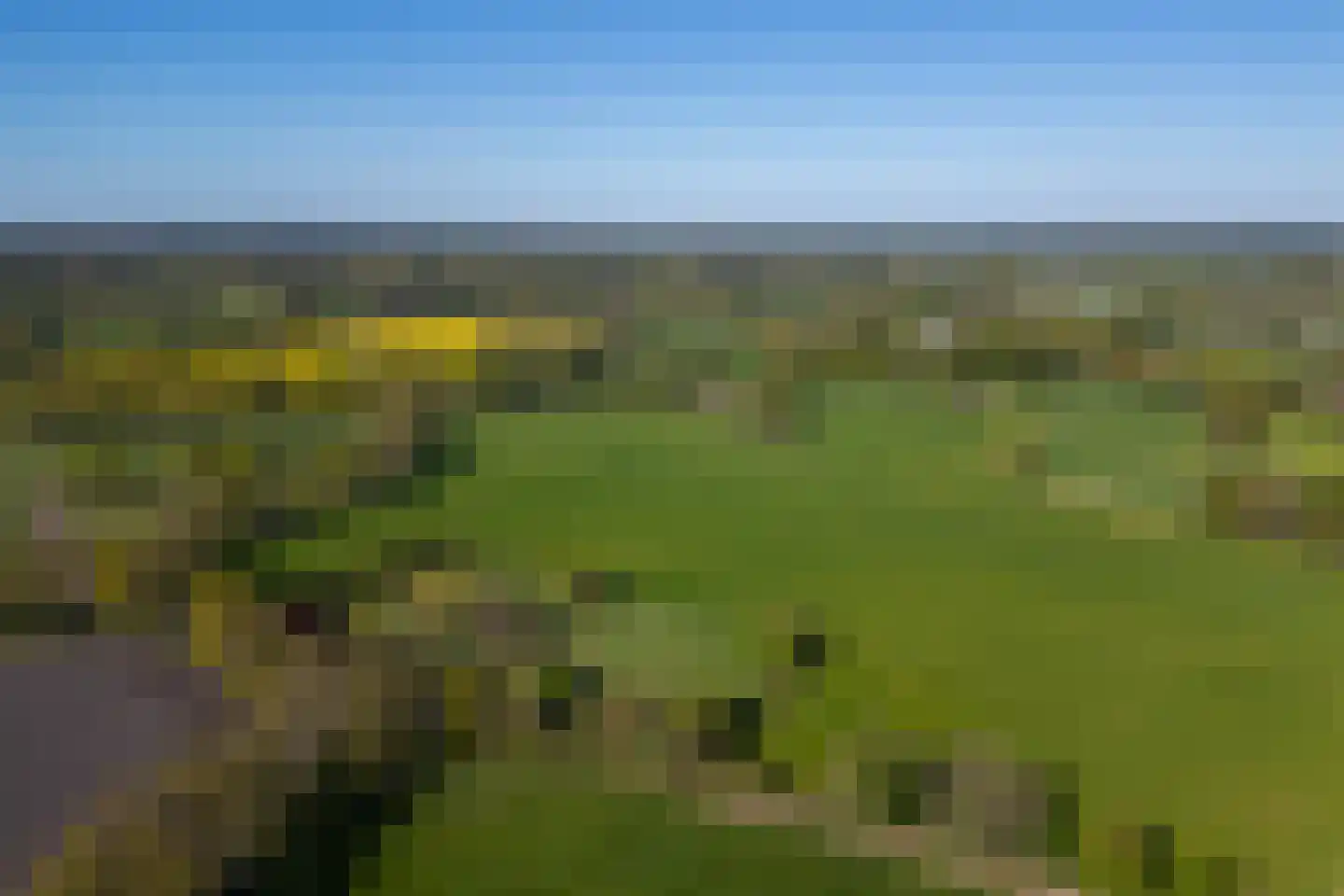 Beuzelshoek 8 Laren thumbnail 105